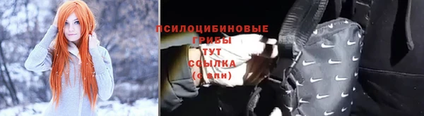 марки lsd Абаза